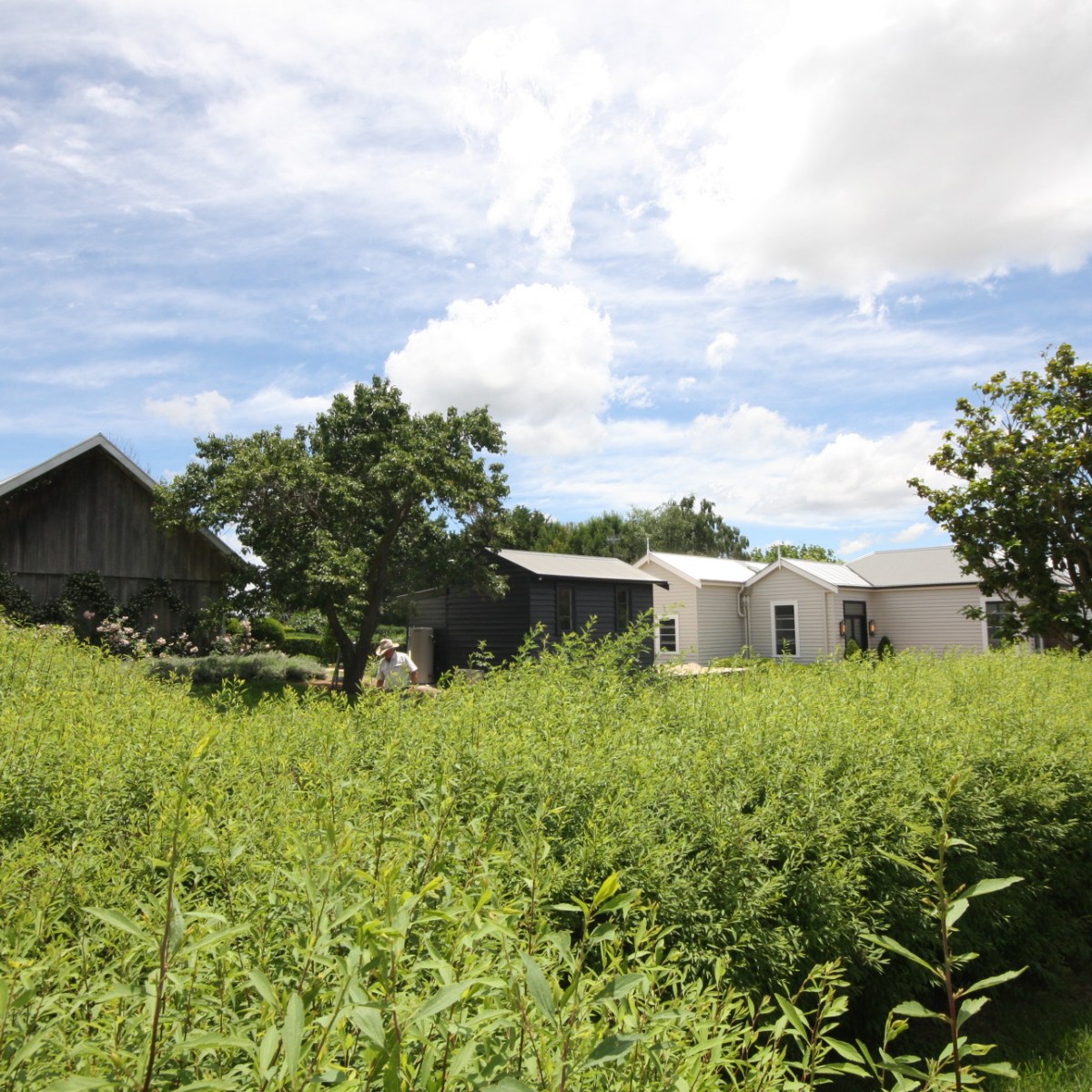 Coomooloo farmhouse, Walcha